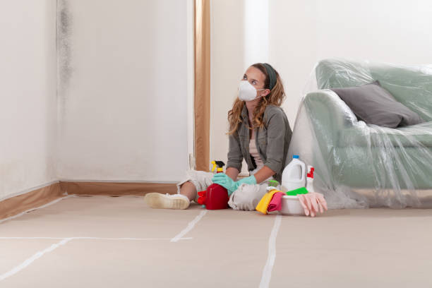 Reliable Mold Removal contractor in Oxford, MI by 24 Hour Mold Removal